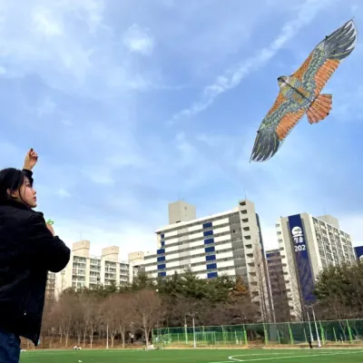 연날리기 새쫓는 독수리연 110cm