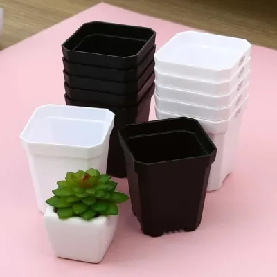 미니 플라스틱 화분 7X8cm 미니다육화분 모종화분 소형플라스틱화분 다육화분 다육미니화분 소형화분