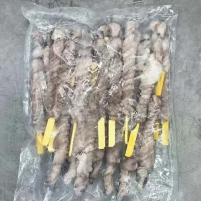 낙지호롱 900g 낙지요리 낙지꼬치
