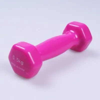 아령 0.5Kg 헬스 홈트레이닝 웨이트 덤벨 운동 아령