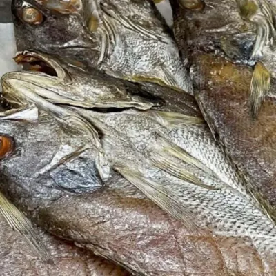 반건조 민어 5미 건민어 손질민어