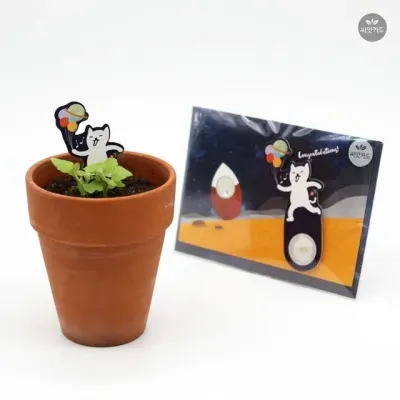 관찰학습 우주여행 새싹키우기 유채꽃 씨앗카드 텃밭 베란다 모종 채소밭
