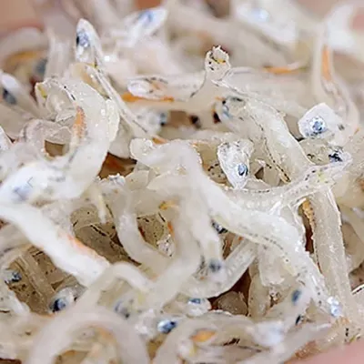VB 아기멸치 이유식멸치 350g