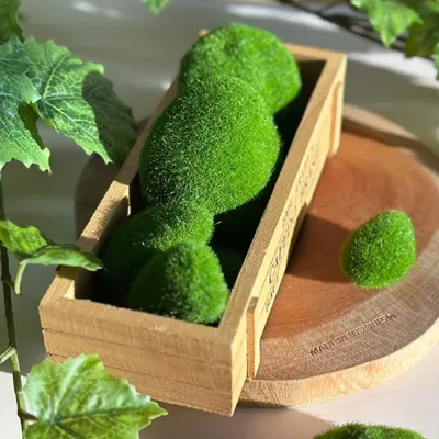 인조이끼 돌 조화 인테리어 장식 조경 인공 테라리움 가짜식물 이끼돌 인테리어소품