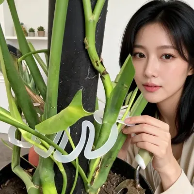 몬스테라 식물지지대 줄기 고정대 정원 가드닝 지지봉 실내 원예용품