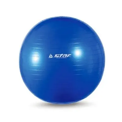 운동용 짐볼 요가 짐볼 55cm 피트니스 필라테스 다이어트