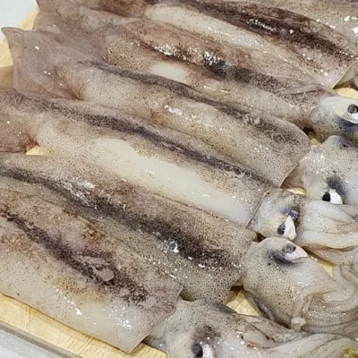 냉동 오징어 2kg