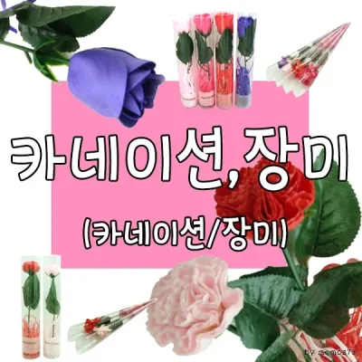 카네이션 [비누꽃] 어버이날선물/스승의날선물/장미꽃/홍보용/장미/카네이션 (서기몰)