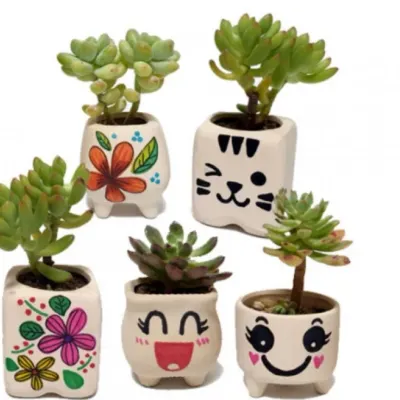 다육식물 화분 꾸미기 DIY 키트
