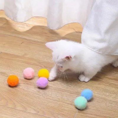 고양이 볼 PET 냥모볼 12개 공 장난감 먹이퍼즐 폼폼볼 놀이