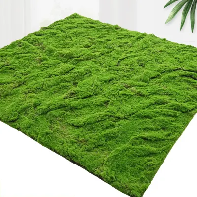 플랜테리어 리얼 인조 이끼 2P B-2(100cm*100cm)