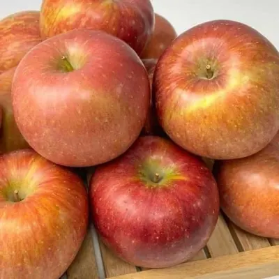 부사 사과 특품 1kg 중소과 과일선물세트 국내산사과 명절과일선물