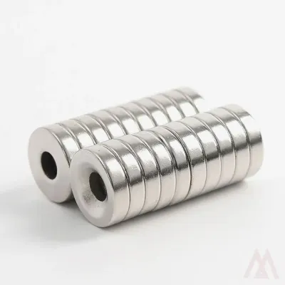 원형사라 자석 20개입 15x4mm 교육용자석 교재용자석 마그네트