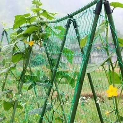DIY 식물지지대 11mm 180x180cm 꽃지지대 고추지지대