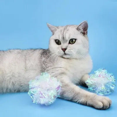 장난감 고양이 PET 바스락 공 반짝이는 볼 놀이 토이