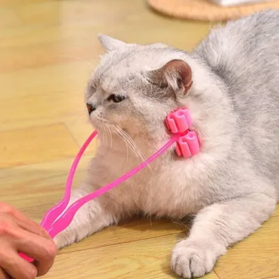 고양이 얼굴 마사지 롤러 반려 동물 목 다리 소프트 안마기 용품 펫용품 마사기 페이스