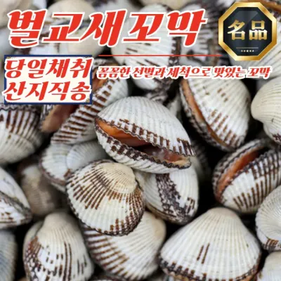 당일채취 산지직송 벌교 새꼬막 상 1kg