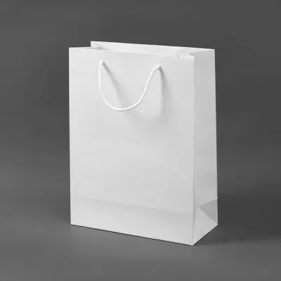 무지 세로형 종이 쇼핑백 10p 세트 화이트 25x33cm 무광 선물용 백