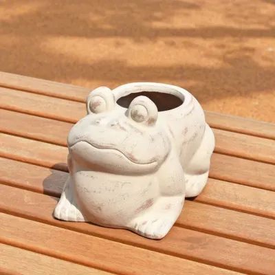 왕눈이 개구리 화분