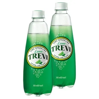 롯데 트레비 라임 300ml x 20PET