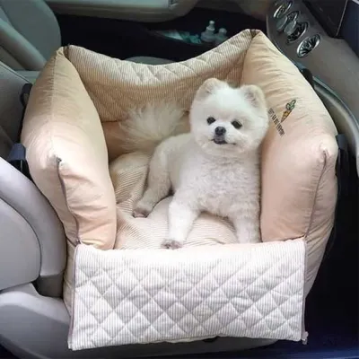 패리스독 강아지카시트 꿀잠 카시트 (베이지) 애견 반려견 차량용카시트