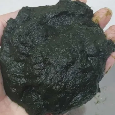 국내산 매생이 400g 2봉 생매생이