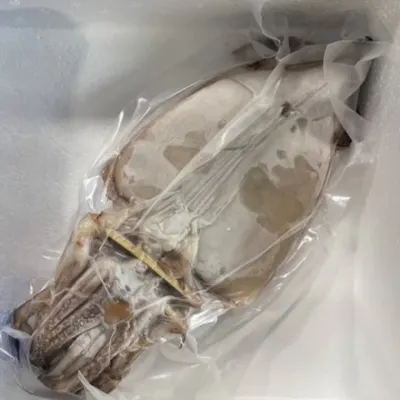피데기 반건조 오징어 5미