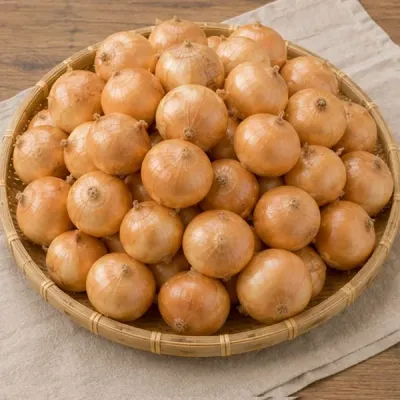 전라남도 무안 양파 중 10kg 15kg