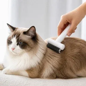 강아지 고양이 안아픈 빗 애견 털갈이 엉킨털 죽은털 털 제거 브러쉬 단모 장모 PE