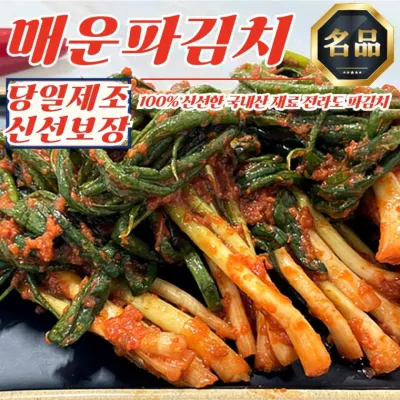 당일제조 전라도 매운 파김치 10kg (100% 국산재료)