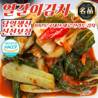 당일제조 전라도 대감 얼갈이김치 10kg (100% 국산재료)