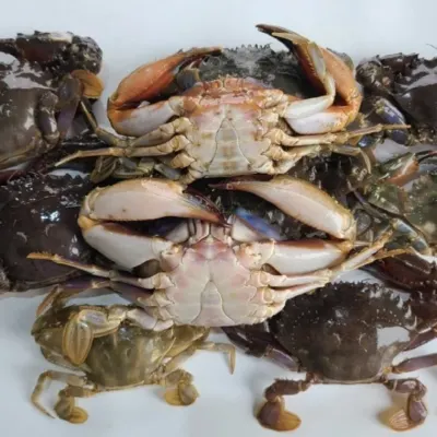 냉동 돌게 2kg