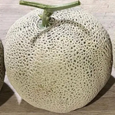 머스크 멜론 특대과 4수