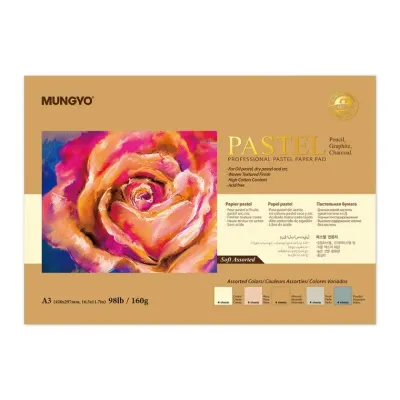 문교 파스텔 전용지 A3 소프트혼합 160g 20매MPPP-A3SA 스케치북 전용크로키북