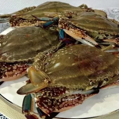 냉동 숫꽃게 2kg 꽃게요리 꽃게구매 냉동손질꽃게