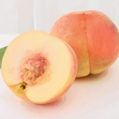 청도 복숭아 백도 왕특대 부드런 4kg k peach