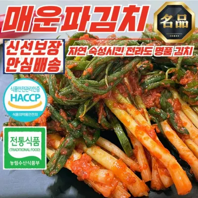 전라도 맛갈지고 화끈하게 매운 파김치 3kg