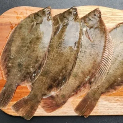 냉동 도다리 2kg