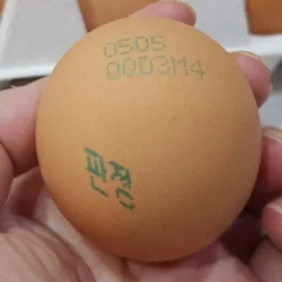 1+등급 특란 40구 신선계란