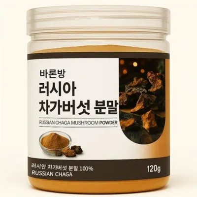 러시아 차가버섯 차가버섯 버섯 액상 분말 티백 음료 시베리아 추출물 농축액 자연산 엑기스 발효 진액