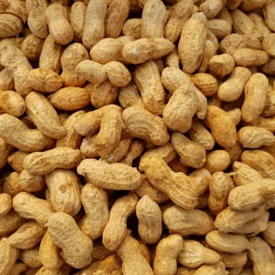 국내산 땅콩 500g