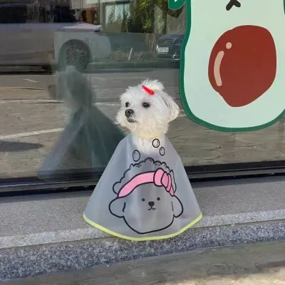 애견 강아지용품 애견미용 용품 가운 액세서리 강아지미용 러블리 목도리 넥카라