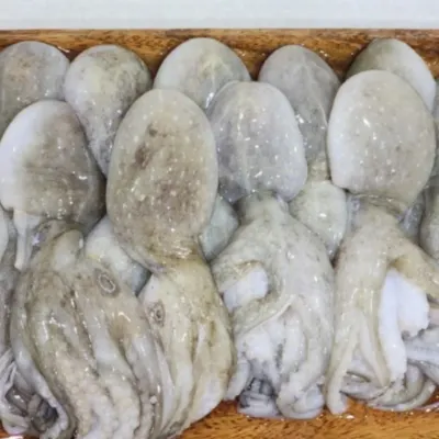 제철 냉동 쭈꾸미 2kg