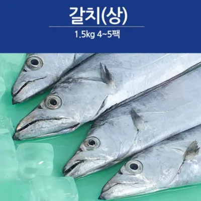 제주 갈치 선물세트 1.5kg(4-5팩) 답례품 설날 명절 설 선물 단체 구정
