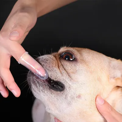 반려동물 실리콘 손가락 칫솔 10p 강아지 고양이 양치