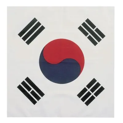 붉은악마 태극기 손수건 스카프 월드컵 응원 국기 기념품 머플러 소품