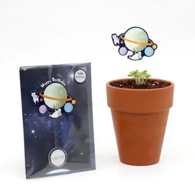 톡톡 식물 키우기 씨앗 새싹 재배 키트 스위트바질