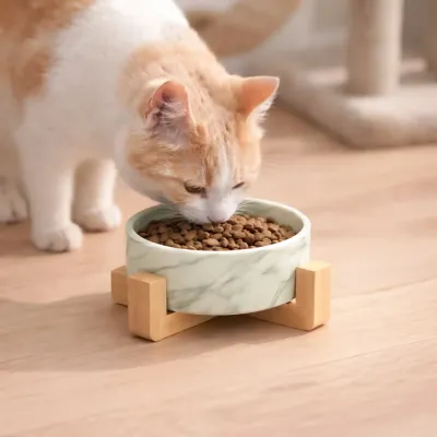 반려동물 우드받침 도자기식기 강아지고양이 위생그릇