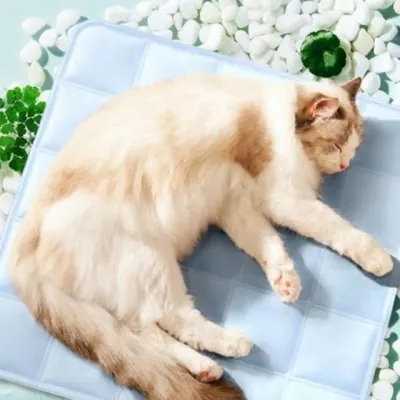 강아지매트 고양이매트 냉감패드 강아지 쿨링 시트 쿨매트 고양이