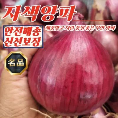 전남 무안 황토골 자색양파 특대혼합 3kg
